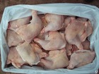Export Frozen Whole Chicken Halal