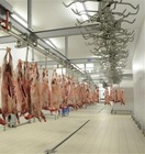 Frozen Halal Lamb Carcass