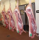 Leg Boneless Shoulder Neck Mutton/ Lamb