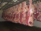 New Zealand Lamb for Sale