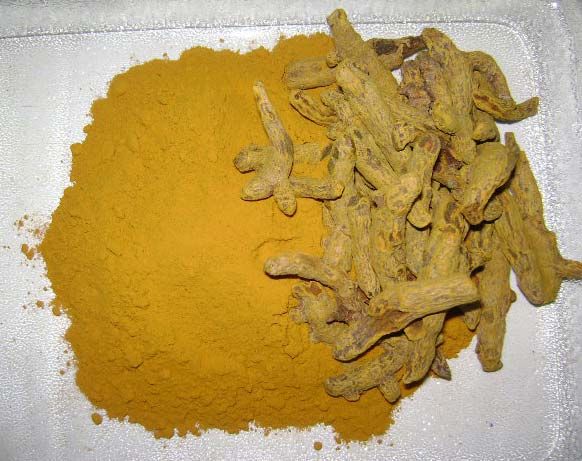 turmeric powder