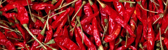 Red Chillies