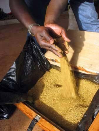 High Purity 98.3% Purity Gold Dust