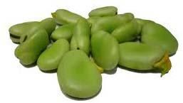 fava beans