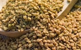 Fenugreek