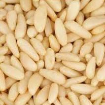 Pine Nut Kernel