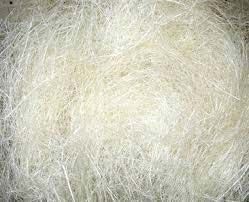 Sisal Fiber
