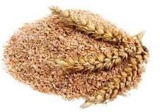 wheat bran