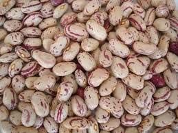 White Speckle Kidney Beans