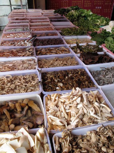 hot sale growing fresh king oyster mushroom equipment for sale