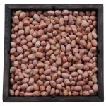 Java Peanut Kernels