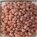 Peanut Kernel - Java