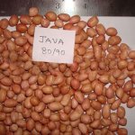 Peanut Kernel Java (80-90)