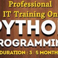 python programming training