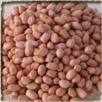 Peanut Kernel - Java