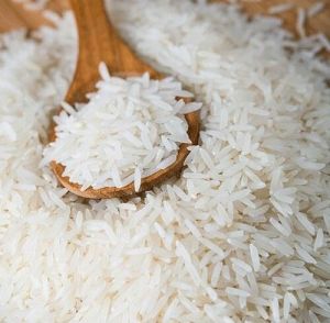 White and Brown Rice