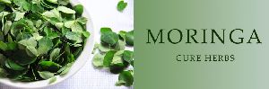 Moringa Dry Leaf