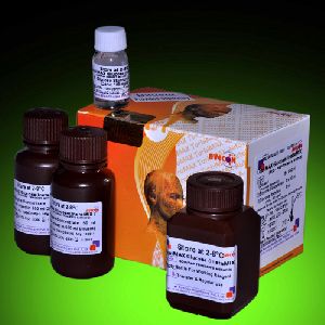 Glucose SLR Test Kits