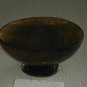 Natural coconut shell bowl