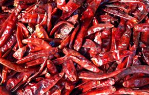 Dry Chilli