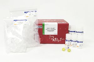 Plasmid DNA Purification Kit
