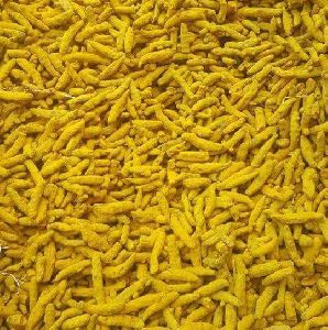 Turmeric Bits