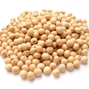 non gmo soybeans