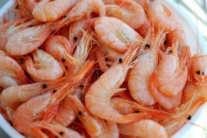 COOKED AND PEELED FROZEN VANNAMEI SHRIMP