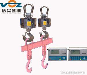 Electronic Crane Scale