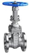 API FLANGE STAINLESS STEEL GATE VALVE