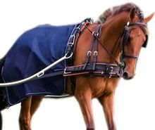 Navy Driving Horse rug