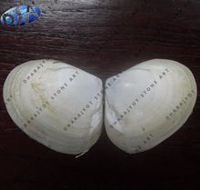 River China Shell Stone