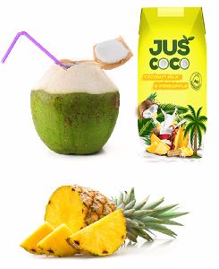 Pineapple flavor coconut milk