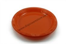 disposable plate