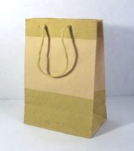 Paper Tone To Tone Bag