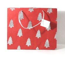 satin ribbon handles gift bag