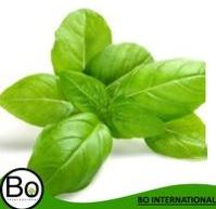 Basil Organic Essential Oil, Certification : CE, EEC, FDA, GMP, MSDS, SGS