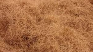 golden brown coconut coir fiber