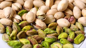 pistachio nut