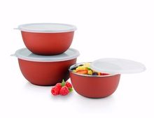 Stainless Steel Euro Bowls with Plastic Lids