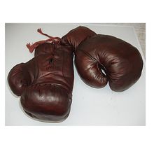 Popular Boxing Glove