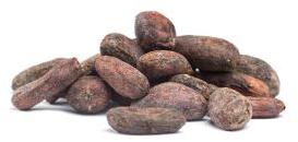 Raw Cocoa Beans Now Available