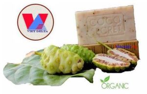Coconut Noni Soap