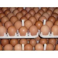 Nati Dp Eggs