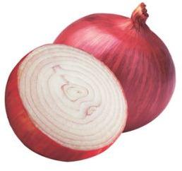 Onion