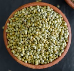 coriander seed