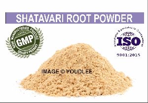 shatavari powder