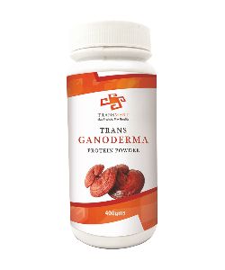 H and H Ganoderma Protein Powder