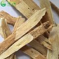 Astragalus Root Seed