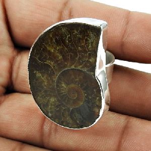 Graceful 925 Sterling Silver Ammonite Gemstone Ring Jewelry